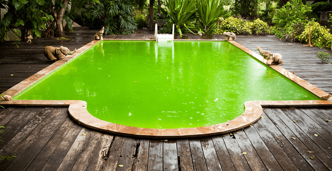 Eau verte de piscine : la rattraper en 48h (guide) | Unibéo